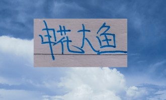 申花大鱼终于上岸了！切尔西教练2026年第一天下课